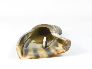 Carl Aubock Mid Century Horn Desk Pen & Pencil Tray & Holder, Austria, 1960s