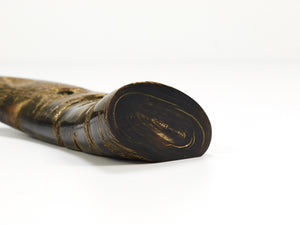 Carl Aubock Mid Century Horn Desk Pen Holder, Vienna, Austria, 1960s