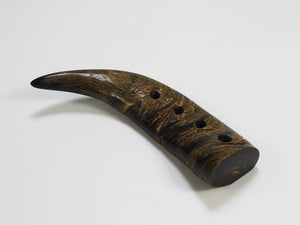 Carl Aubock Mid Century Horn Desk Pen Holder, Vienna, Austria, 1960s