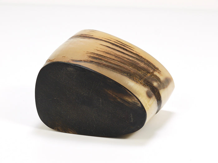 Carl Aubock Mid-Century Horn Desk Pen & Pencil Holder Cup, Austria, 1950s