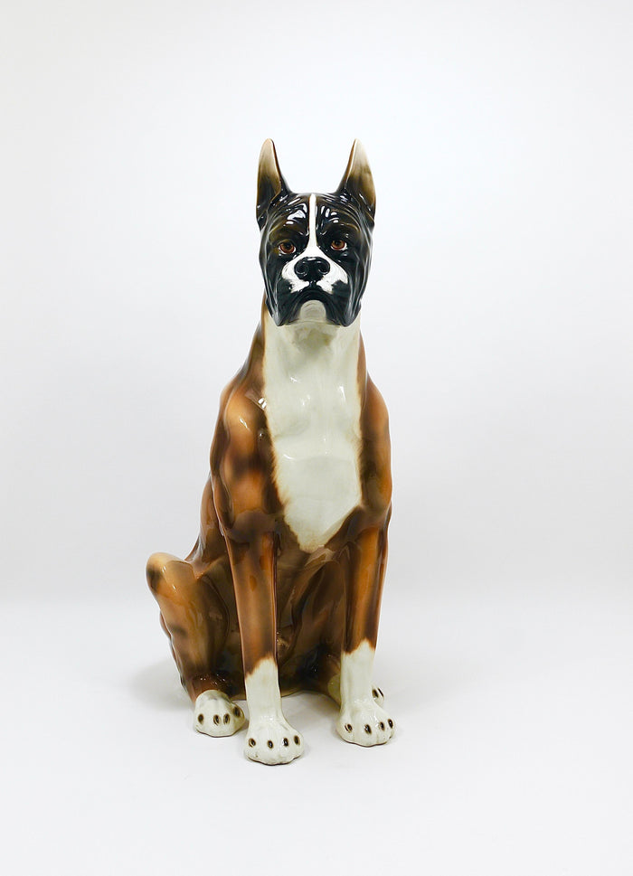 Boxer Dog Life-Size Majolica Statue Sculpture, Glazed Ceramic, Italy, 1970s