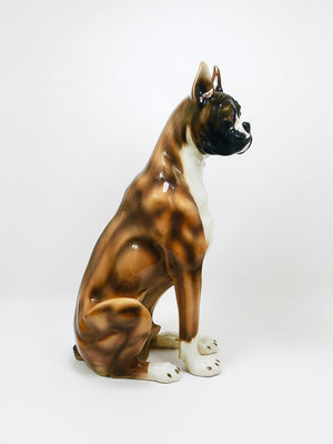Boxer Dog Life-Size Majolica Statue Sculpture, Glazed Ceramic, Italy, 1970s