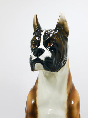 Boxer Dog Life-Size Majolica Statue Sculpture, Glazed Ceramic, Italy, 1970s
