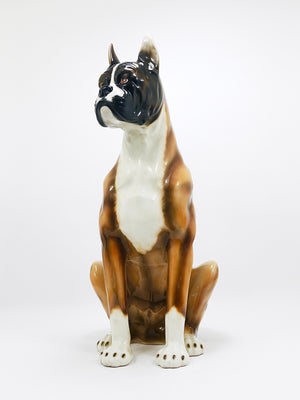 Boxer Dog Life-Size Majolica Statue Sculpture, Glazed Ceramic, Italy, 1970s