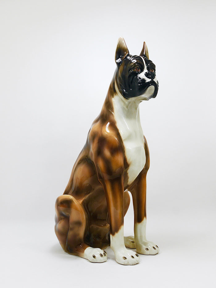 Boxer Dog Life-Size Majolica Statue Sculpture, Glazed Ceramic, Italy, 1970s