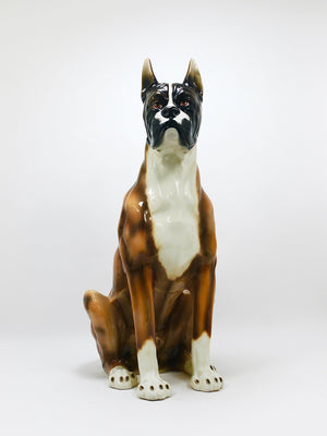 Boxer Dog Life-Size Majolica Statue Sculpture, Glazed Ceramic, Italy, 1970s